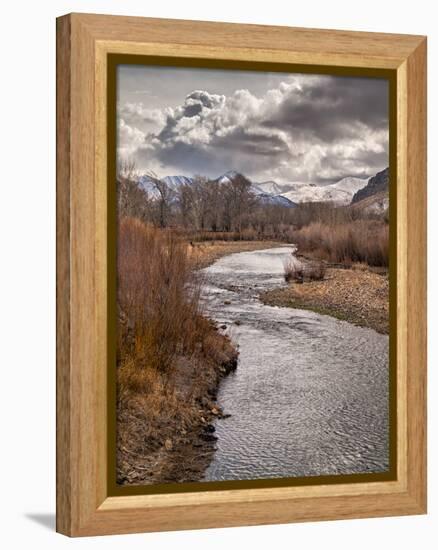 USA, California, Eastern Sierra. Ranchland Along the West Walker River in Winter-Ann Collins-Framed Premier Image Canvas