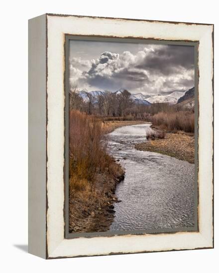 USA, California, Eastern Sierra. Ranchland Along the West Walker River in Winter-Ann Collins-Framed Premier Image Canvas