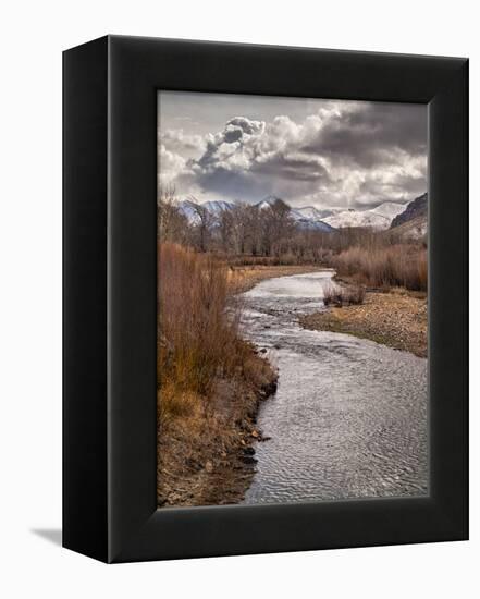 USA, California, Eastern Sierra. Ranchland Along the West Walker River in Winter-Ann Collins-Framed Premier Image Canvas