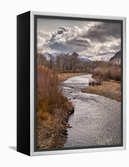 USA, California, Eastern Sierra. Ranchland Along the West Walker River in Winter-Ann Collins-Framed Premier Image Canvas