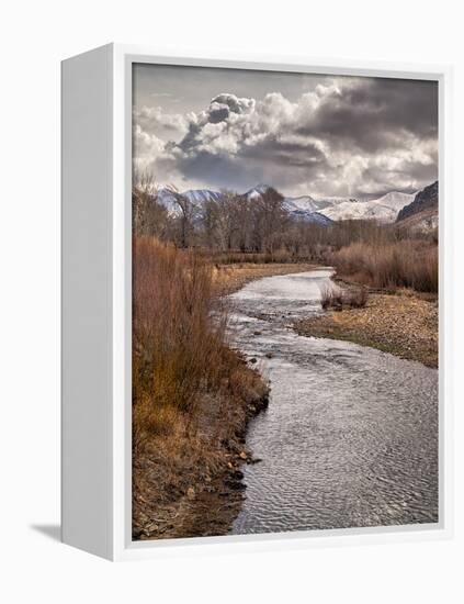 USA, California, Eastern Sierra. Ranchland Along the West Walker River in Winter-Ann Collins-Framed Premier Image Canvas