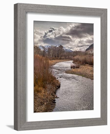 USA, California, Eastern Sierra. Ranchland Along the West Walker River in Winter-Ann Collins-Framed Photographic Print