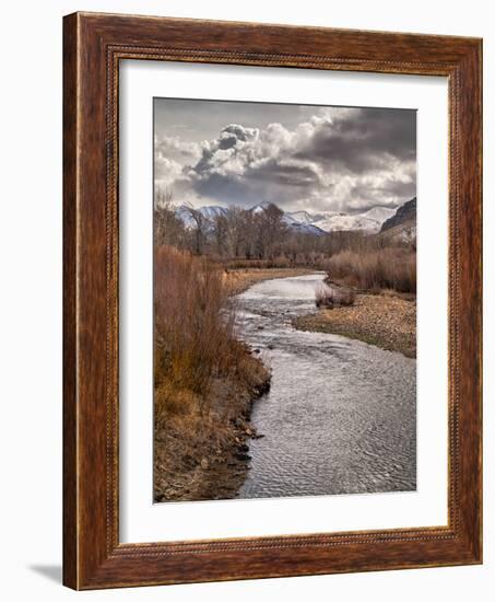 USA, California, Eastern Sierra. Ranchland Along the West Walker River in Winter-Ann Collins-Framed Photographic Print