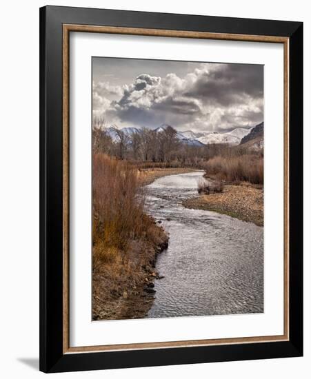 USA, California, Eastern Sierra. Ranchland Along the West Walker River in Winter-Ann Collins-Framed Photographic Print