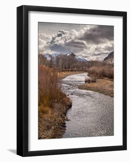 USA, California, Eastern Sierra. Ranchland Along the West Walker River in Winter-Ann Collins-Framed Photographic Print