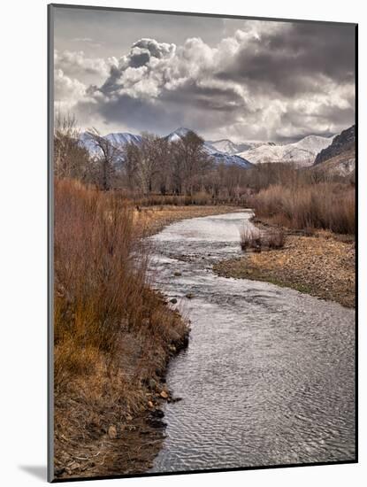 USA, California, Eastern Sierra. Ranchland Along the West Walker River in Winter-Ann Collins-Mounted Photographic Print