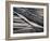 USA, California, Encinitas, Black-And-White Abstract of Water Flowing on Beach-Ann Collins-Framed Photographic Print