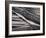 USA, California, Encinitas, Black-And-White Abstract of Water Flowing on Beach-Ann Collins-Framed Photographic Print