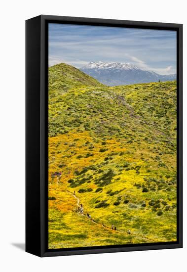 USA, California, Hemet. Visitors hike the Wildflower Trail at Diamond Valley Lake-Ann Collins-Framed Premier Image Canvas