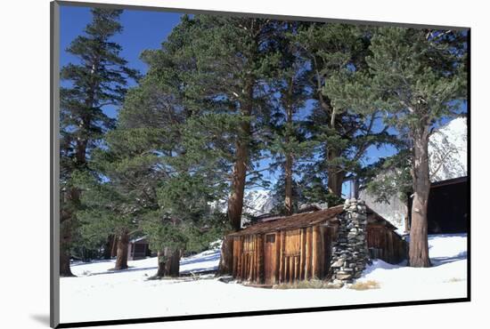 USA, California, House and Trees at Sierra Nevada Mountains-Zandria Muench Beraldo-Mounted Photographic Print