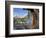 USA, California, Inyo NF. Old pine and tarn next to Garnet Lake.-Don Paulson-Framed Photographic Print