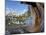 USA, California, Inyo NF. Old pine and tarn next to Garnet Lake.-Don Paulson-Mounted Photographic Print