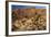 USA, California, Joshua Tree. Desert Landscape of Joshua Tree-Kymri Wilt-Framed Photographic Print