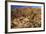 USA, California, Joshua Tree. Desert Landscape of Joshua Tree-Kymri Wilt-Framed Photographic Print