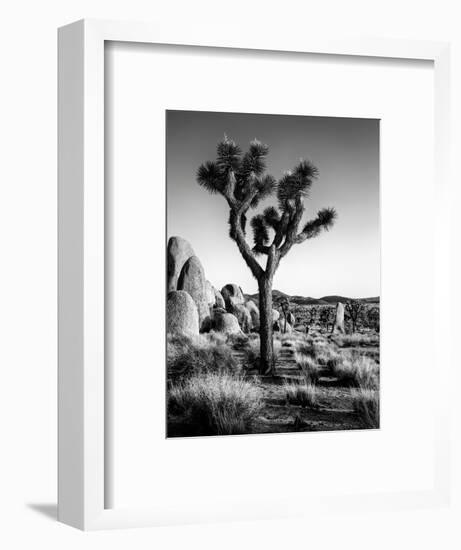 USA, California, Joshua Tree National Park at Hidden Valley-Ann Collins-Framed Premium Photographic Print