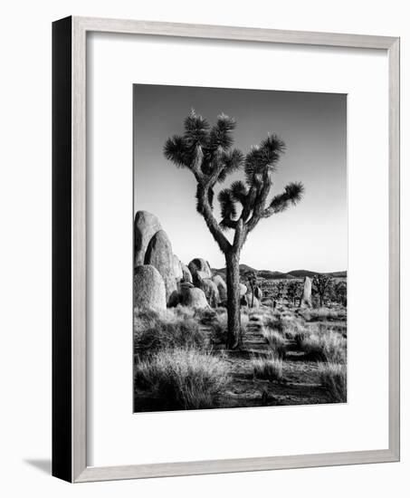 USA, California, Joshua Tree National Park at Hidden Valley-Ann Collins-Framed Photographic Print