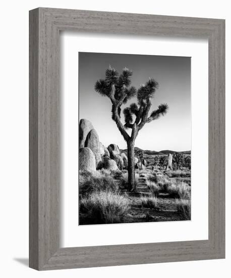 USA, California, Joshua Tree National Park at Hidden Valley-Ann Collins-Framed Photographic Print