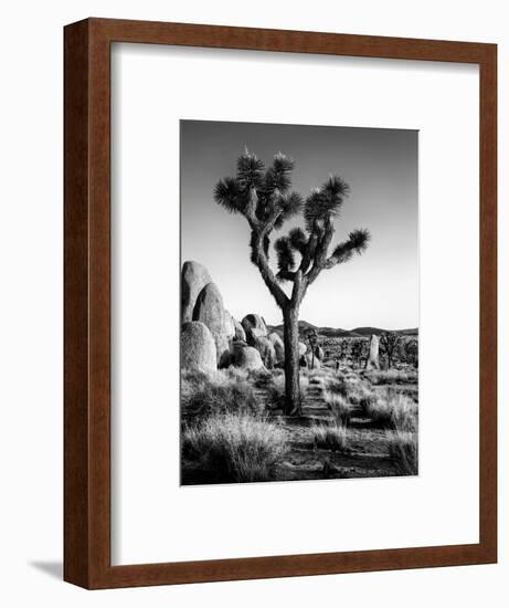 USA, California, Joshua Tree National Park at Hidden Valley-Ann Collins-Framed Photographic Print