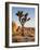 USA, California, Joshua Tree National Park at Hidden Valley-Ann Collins-Framed Photographic Print