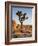 USA, California, Joshua Tree National Park at Hidden Valley-Ann Collins-Framed Photographic Print