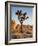 USA, California, Joshua Tree National Park at Hidden Valley-Ann Collins-Framed Photographic Print