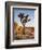 USA, California, Joshua Tree National Park at Hidden Valley-Ann Collins-Framed Photographic Print