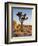 USA, California, Joshua Tree National Park at Hidden Valley-Ann Collins-Framed Photographic Print