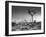 USA, California, Joshua Tree National Park, Dawn and Joshua Trees-Ann Collins-Framed Photographic Print