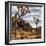 USA, California, Joshua Tree National Park, Joshua Trees in Mojave Desert-Ann Collins-Framed Photographic Print