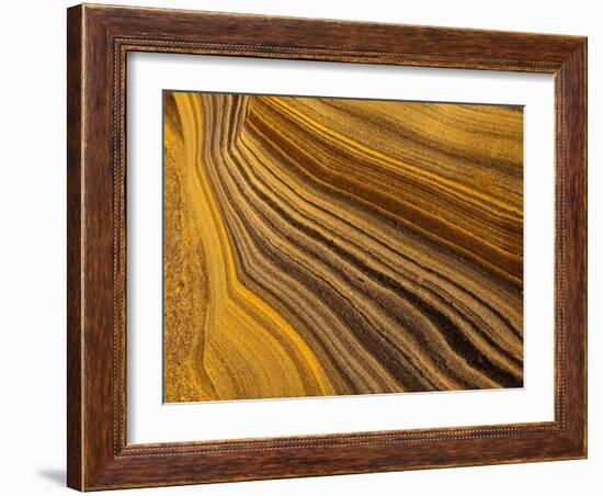 USA, California, La Jolla, Abstract of Sandstone Rock-Ann Collins-Framed Photographic Print