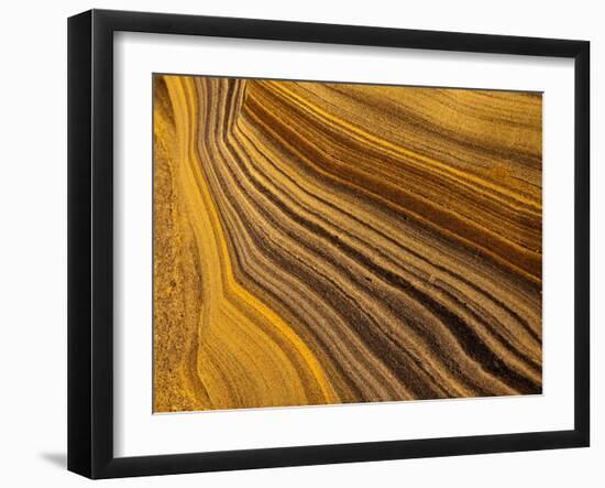 USA, California, La Jolla, Abstract of Sandstone Rock-Ann Collins-Framed Photographic Print