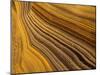 USA, California, La Jolla, Abstract of Sandstone Rock-Ann Collins-Mounted Photographic Print