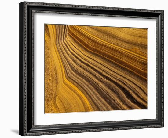 USA, California, La Jolla, Abstract of Sandstone Rock-Ann Collins-Framed Photographic Print