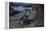 USA, California, La Jolla. Baby sea lion on beach rock.-Jaynes Gallery-Framed Premier Image Canvas