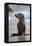 USA, California, La Jolla. Baby sea lion on beach.-Jaynes Gallery-Framed Premier Image Canvas