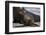 USA, California, La Jolla. Baby sea lion on sand.-Jaynes Gallery-Framed Photographic Print