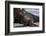 USA, California, La Jolla. Baby sea lion on sand.-Jaynes Gallery-Framed Photographic Print