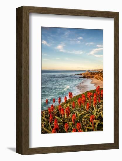 USA, California, La Jolla. Blooming aloe and Wipeout Beach-Ann Collins-Framed Photographic Print