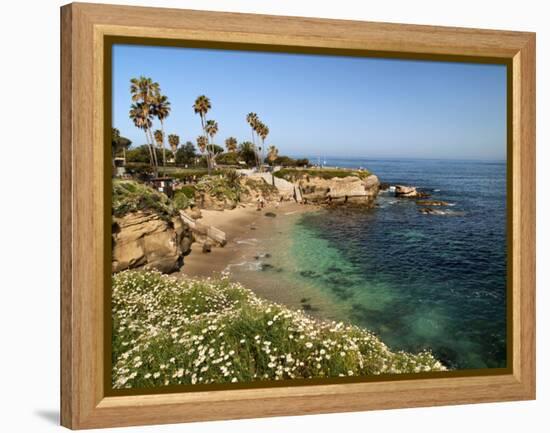 USA, California, La Jolla, Clear Water on a Spring Day at La Jolla Cove-Ann Collins-Framed Premier Image Canvas