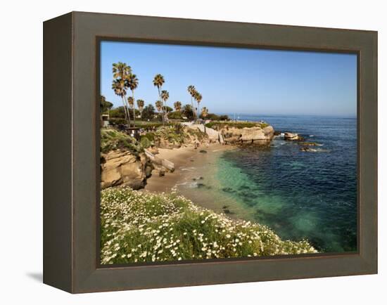 USA, California, La Jolla, Clear Water on a Spring Day at La Jolla Cove-Ann Collins-Framed Premier Image Canvas