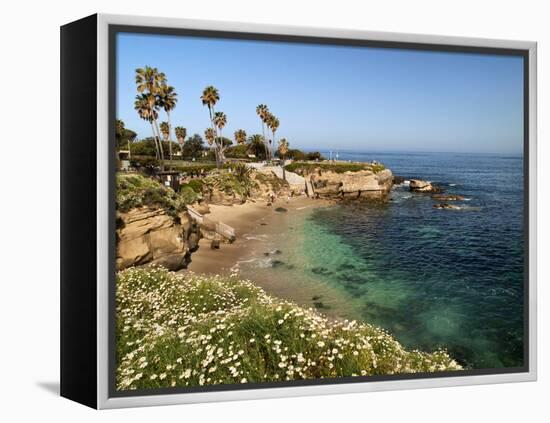 USA, California, La Jolla, Clear Water on a Spring Day at La Jolla Cove-Ann Collins-Framed Premier Image Canvas