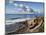 USA, California, La Jolla, Coastal La Jolla at Shell Beach-Ann Collins-Mounted Photographic Print