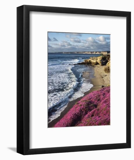 USA, California, La Jolla, Flowers Along the Pacific Coast-Christopher Talbot Frank-Framed Photographic Print