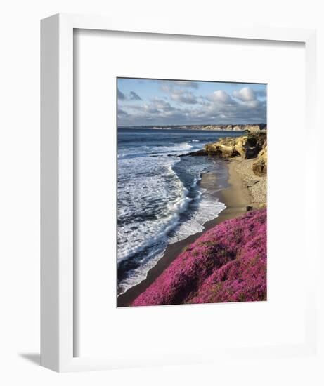 USA, California, La Jolla, Flowers Along the Pacific Coast-Christopher Talbot Frank-Framed Photographic Print