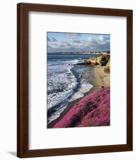 USA, California, La Jolla, Flowers Along the Pacific Coast-Christopher Talbot Frank-Framed Photographic Print