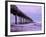 USA, California, La Jolla, Full Moon Setting at Dawn over Scripps Pier, La Jolla Shores-Ann Collins-Framed Photographic Print