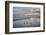 USA, California, La Jolla. Royal terns and Scripps Pier at La Jolla Shores-Ann Collins-Framed Photographic Print