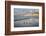 USA, California, La Jolla. Royal terns and Scripps Pier at La Jolla Shores-Ann Collins-Framed Photographic Print