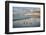 USA, California, La Jolla. Royal terns and Scripps Pier at La Jolla Shores-Ann Collins-Framed Photographic Print