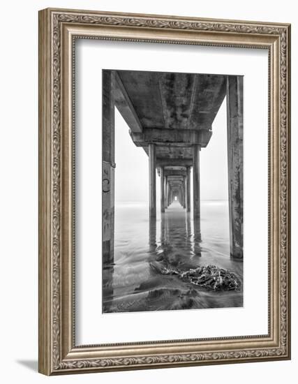 USA, California, La Jolla, Scripps Pier, Sunrise-John Ford-Framed Photographic Print